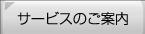 �T�[�r�X�̂��ē�